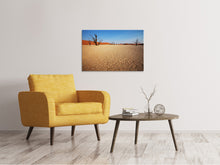Load image into Gallery viewer, Canvas print Desert