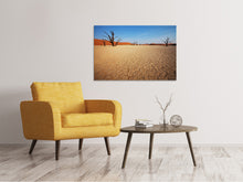 Load image into Gallery viewer, Canvas print Desert