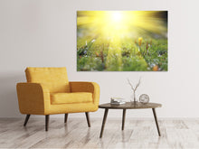 Load image into Gallery viewer, Canvas print Flowery Meadow