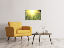 Load image into Gallery viewer, Canvas print Flowery Meadow