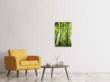 Load image into Gallery viewer, Canvas print Forest