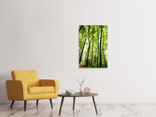 Load image into Gallery viewer, Canvas print Forest