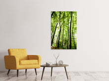 Load image into Gallery viewer, Canvas print Forest