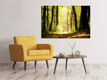 Load image into Gallery viewer, Canvas print Sunrise In The Forest