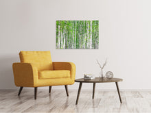 Load image into Gallery viewer, Canvas print The Birch Forest
