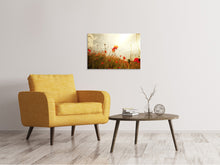 Load image into Gallery viewer, Canvas print The Poppy Field At Sunrise