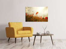 Load image into Gallery viewer, Canvas print The Poppy Field At Sunrise