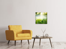 Load image into Gallery viewer, Canvas print Magic Forest