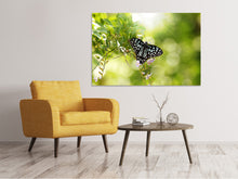 Load image into Gallery viewer, Canvas print Papilio Butterfly XXL