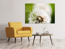 Load image into Gallery viewer, Canvas print Blowball Dandelion