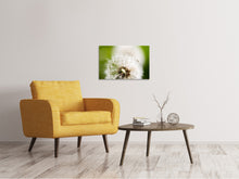 Load image into Gallery viewer, Canvas print Blowball Dandelion
