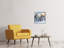 Load image into Gallery viewer, Canvas print Fir In Snow