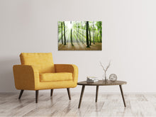 Load image into Gallery viewer, Canvas print Magic Light In The Trees