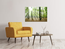 Load image into Gallery viewer, Canvas print Magic Light In The Trees