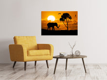 Load image into Gallery viewer, Canvas print Dreamy Africa