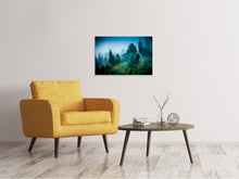 Load image into Gallery viewer, Canvas print Mysterious Forest