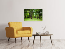 Load image into Gallery viewer, Canvas print Cherry Garden