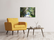 Load image into Gallery viewer, Canvas print Sunny Forest Path