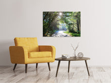 Load image into Gallery viewer, Canvas print Sunny Forest Path