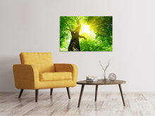 Load image into Gallery viewer, Canvas print Tree