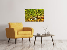 Load image into Gallery viewer, Canvas print Waterfall In The Forest
