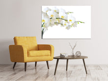 Load image into Gallery viewer, Canvas print White Orchids