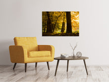 Load image into Gallery viewer, Canvas print Autumn Leaves