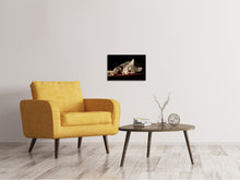 Load image into Gallery viewer, Canvas print Relaxed Cat