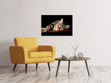 Load image into Gallery viewer, Canvas print Relaxed Cat