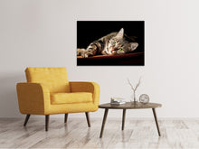Load image into Gallery viewer, Canvas print Relaxed Cat