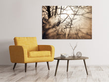 Load image into Gallery viewer, Canvas print Branches In Fog Light