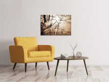 Load image into Gallery viewer, Canvas print Branches In Fog Light