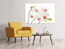 Load image into Gallery viewer, Canvas print Orchids Love