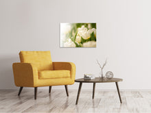 Load image into Gallery viewer, Canvas print Tulips Perspective