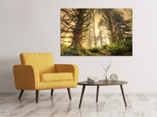 Load image into Gallery viewer, Canvas print Sunset In Jungle