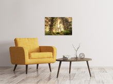 Load image into Gallery viewer, Canvas print Sunset In Jungle