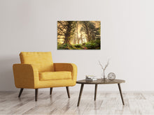 Load image into Gallery viewer, Canvas print Sunset In Jungle