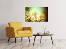 Load image into Gallery viewer, Canvas print Autumn Trees