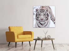 Load image into Gallery viewer, Canvas print The King Tiger