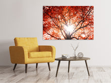 Load image into Gallery viewer, Canvas print Light Of Autumn