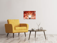Load image into Gallery viewer, Canvas print Light Of Autumn