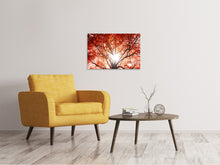 Load image into Gallery viewer, Canvas print Light Of Autumn