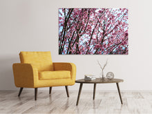 Load image into Gallery viewer, Canvas print Japanese Cherry Blossom