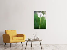 Load image into Gallery viewer, Canvas print Dandelion