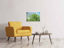 Load image into Gallery viewer, Canvas print Behind The Waterfall