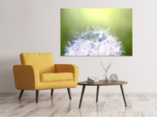 Load image into Gallery viewer, Canvas print Dandelion XL In Morning Dew