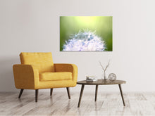 Load image into Gallery viewer, Canvas print Dandelion XL In Morning Dew