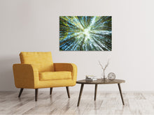 Load image into Gallery viewer, Canvas print Pine Forest