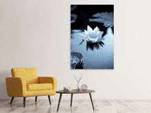 Load image into Gallery viewer, Canvas print Black And White Photograph Waterlily