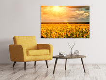 Load image into Gallery viewer, Canvas print Golden Light Sunflower